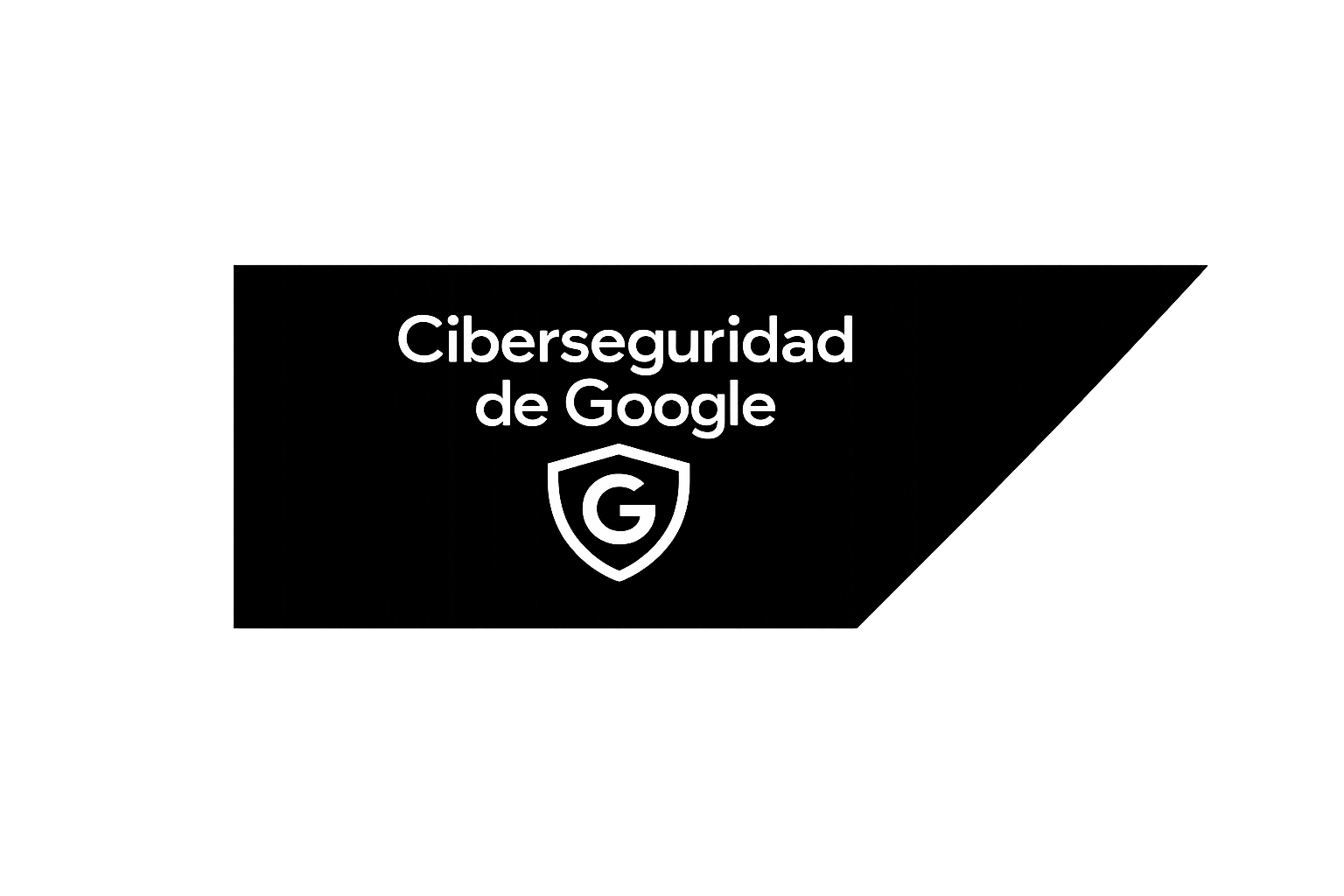 Ciberseguridad — Google
